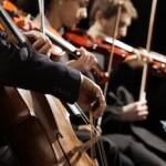 String section from a symphony orchestra