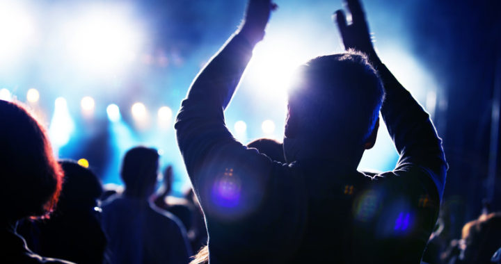 Audience at a rock concert