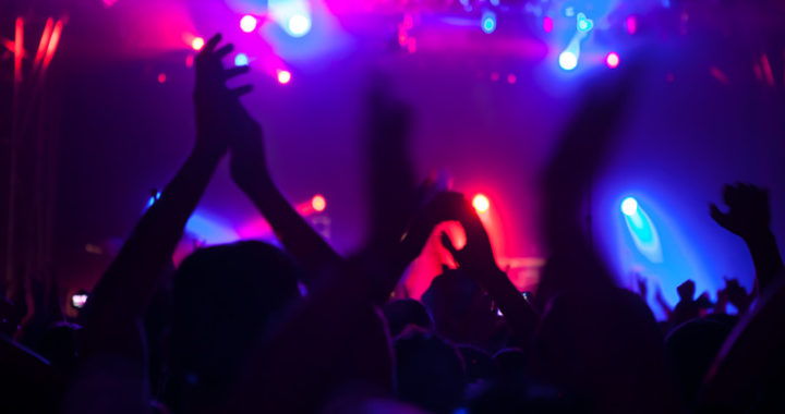 Audience at a rock concert