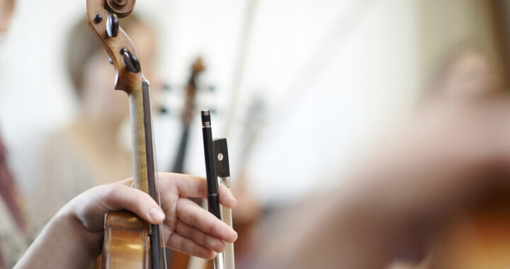 Violin section of an orchestra