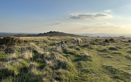 Yelverton, Sampford Spiney, UK